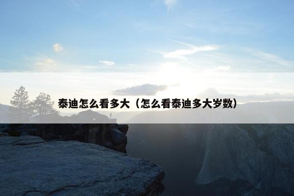 泰迪怎么看多大（怎么看泰迪多大岁数）