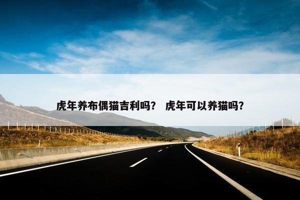 虎年养布偶猫吉利吗？ 虎年可以养猫吗？