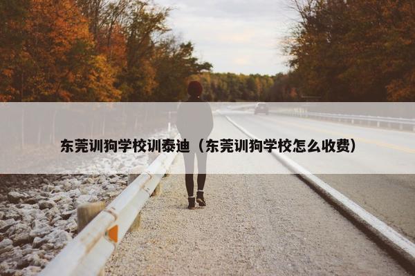 东莞训狗学校训泰迪（东莞训狗学校怎么收费）