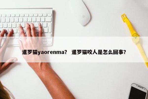 暹罗猫yaorenma？ 暹罗猫咬人是怎么回事？