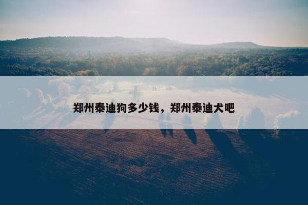 郑州泰迪狗多少钱，郑州泰迪犬吧