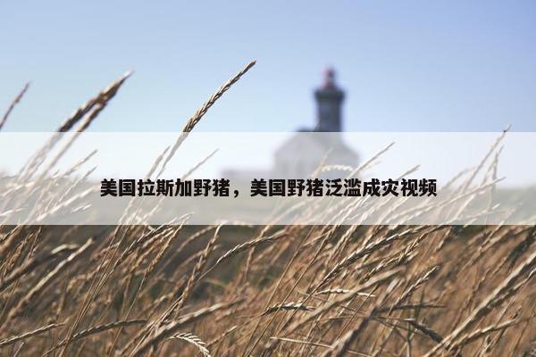美国拉斯加野猪，美国野猪泛滥成灾视频