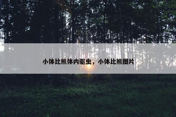 小体比熊体内驱虫，小体比熊图片