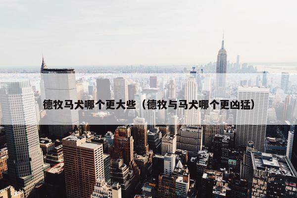 德牧马犬哪个更大些（德牧与马犬哪个更凶猛）