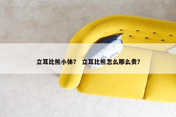 立耳比熊小体？ 立耳比熊怎么那么贵？