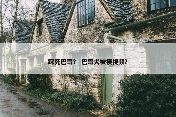踩死巴哥？ 巴哥犬被揍视频？