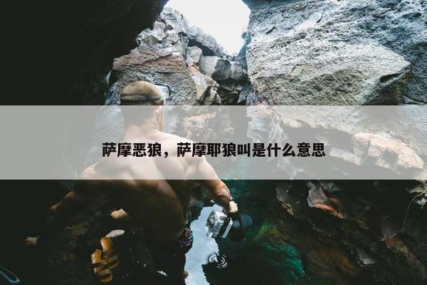 萨摩恶狼，萨摩耶狼叫是什么意思