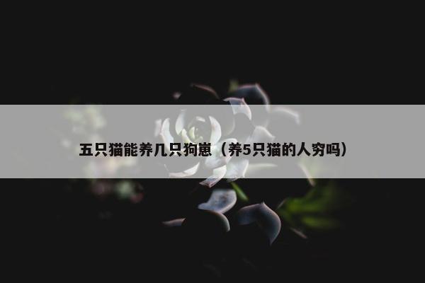 五只猫能养几只狗崽（养5只猫的人穷吗）