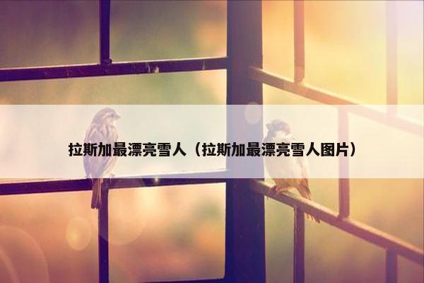 拉斯加最漂亮雪人（拉斯加最漂亮雪人图片）