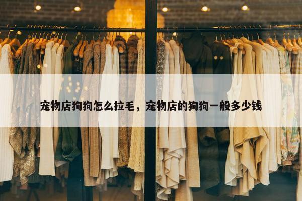 宠物店狗狗怎么拉毛，宠物店的狗狗一般多少钱