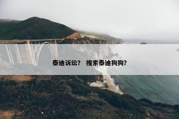 泰迪诉讼？ 搜索泰迪狗狗？