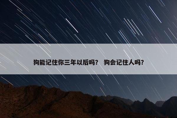 狗能记住你三年以后吗？ 狗会记住人吗？