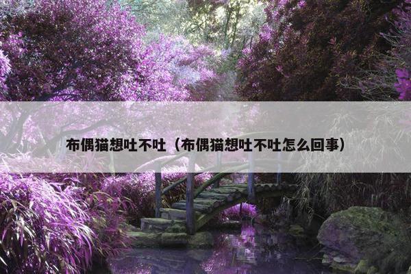布偶猫想吐不吐（布偶猫想吐不吐怎么回事）