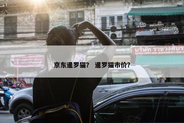 京东暹罗猫？ 暹罗猫市价？