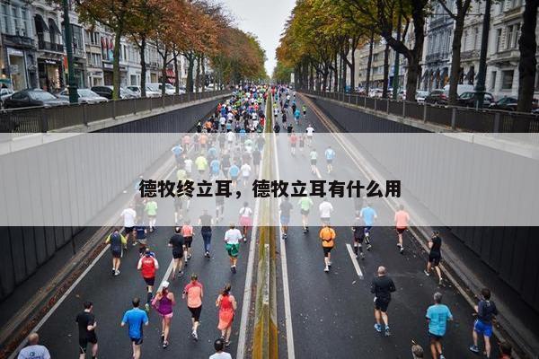 德牧终立耳，德牧立耳有什么用
