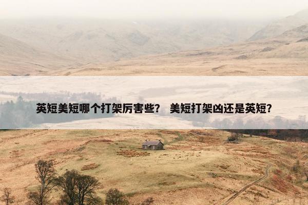 英短美短哪个打架厉害些？ 美短打架凶还是英短？