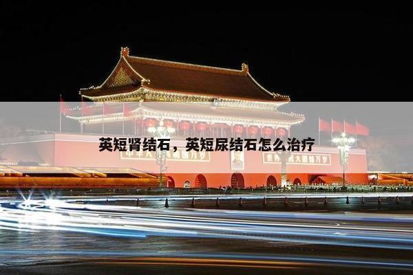 英短肾结石，英短尿结石怎么治疗