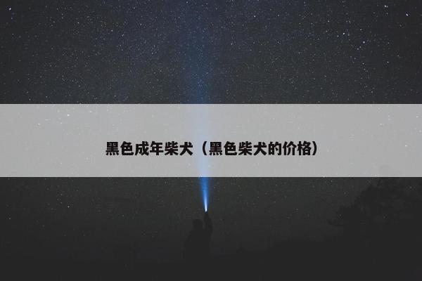黑色成年柴犬（黑色柴犬的价格）