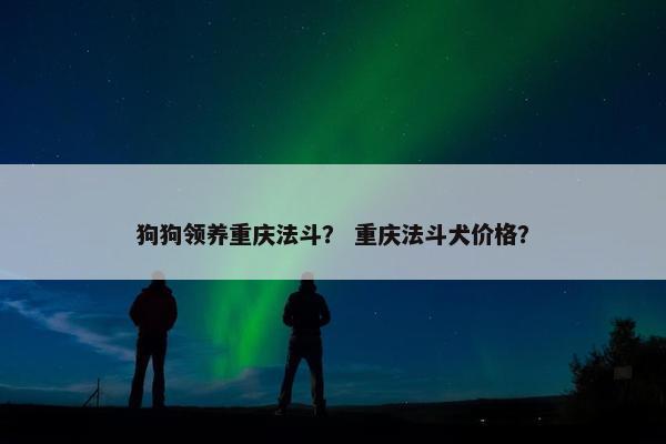 狗狗领养重庆法斗？ 重庆法斗犬价格？
