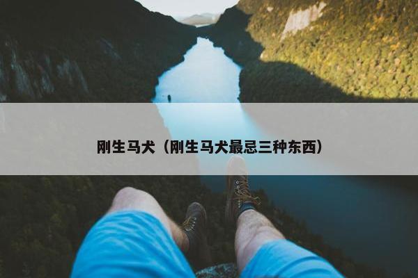 刚生马犬（刚生马犬最忌三种东西）