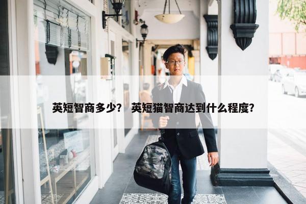 英短智商多少？ 英短猫智商达到什么程度？