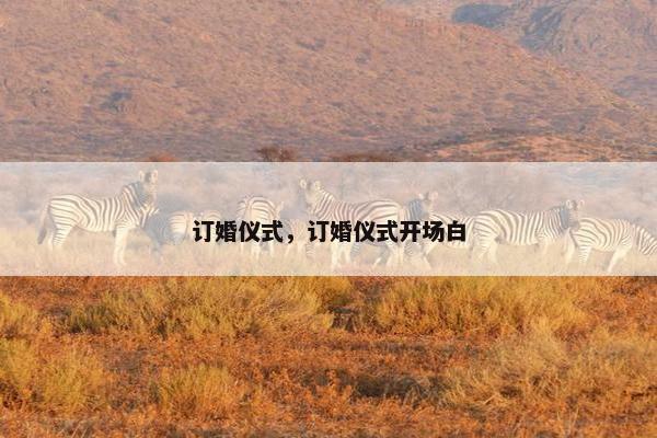 订婚仪式，订婚仪式开场白