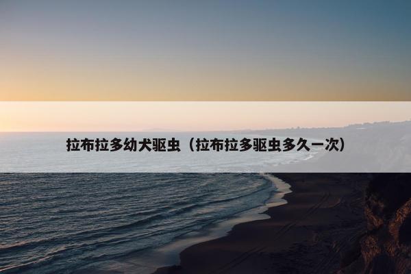 拉布拉多幼犬驱虫（拉布拉多驱虫多久一次）