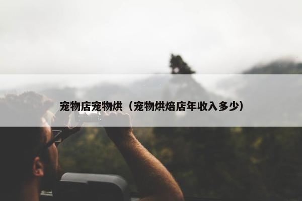 宠物店宠物烘（宠物烘焙店年收入多少）