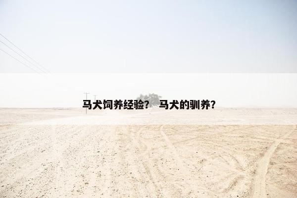 马犬饲养经验？ 马犬的驯养？