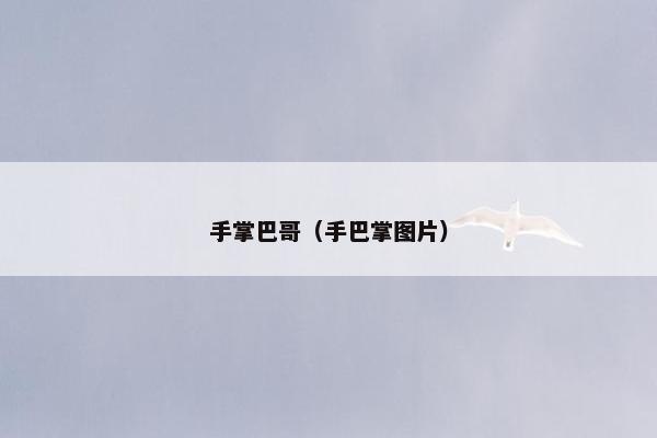 手掌巴哥（手巴掌图片）