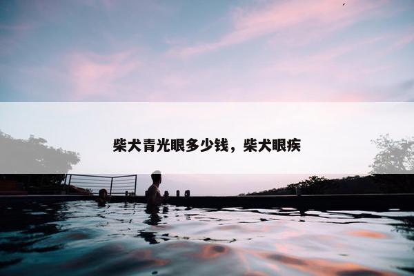 柴犬青光眼多少钱，柴犬眼疾