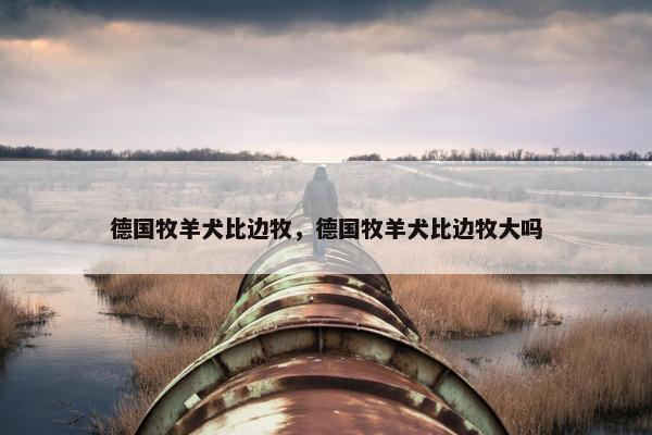 德国牧羊犬比边牧，德国牧羊犬比边牧大吗
