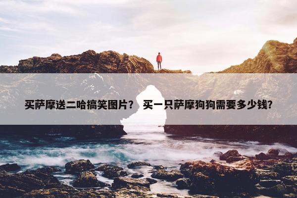 买萨摩送二哈搞笑图片？ 买一只萨摩狗狗需要多少钱？