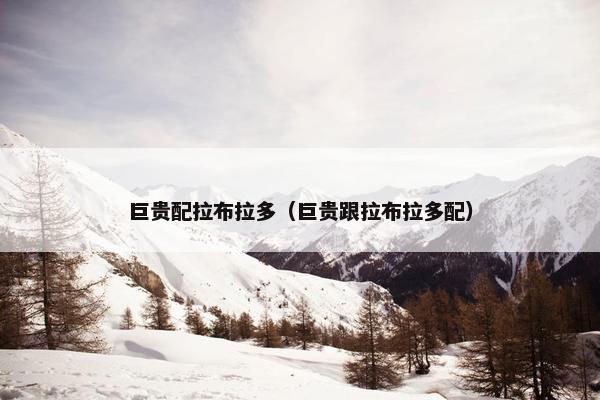 巨贵配拉布拉多（巨贵跟拉布拉多配）