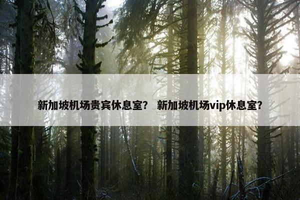 新加坡机场贵宾休息室？ 新加坡机场vip休息室？
