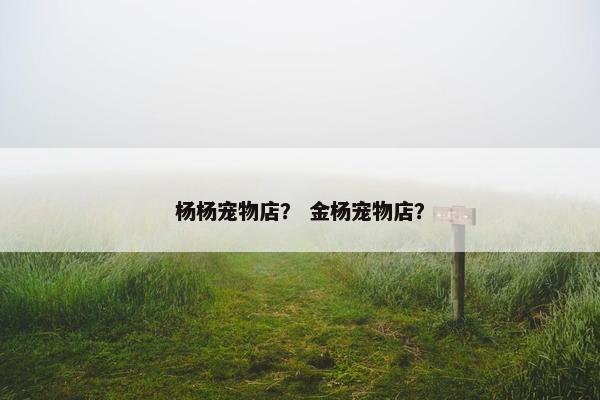 杨杨宠物店？ 金杨宠物店？