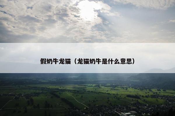 假奶牛龙猫（龙猫奶牛是什么意思）