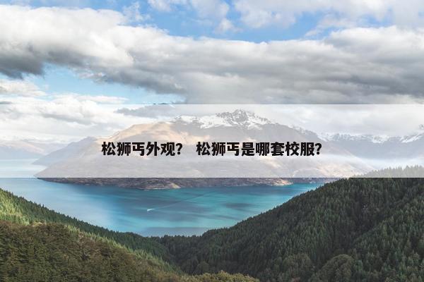 松狮丐外观？ 松狮丐是哪套校服？
