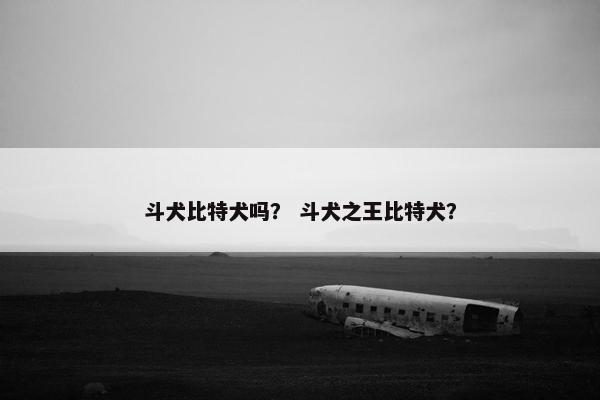 斗犬比特犬吗？ 斗犬之王比特犬？