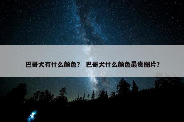 巴哥犬有什么颜色？ 巴哥犬什么颜色最贵图片？