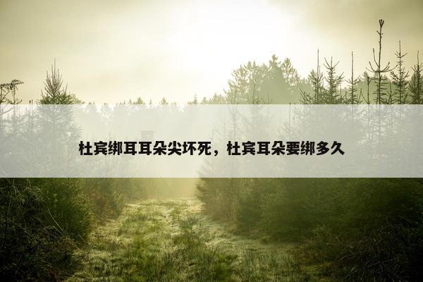 杜宾绑耳耳朵尖坏死，杜宾耳朵要绑多久