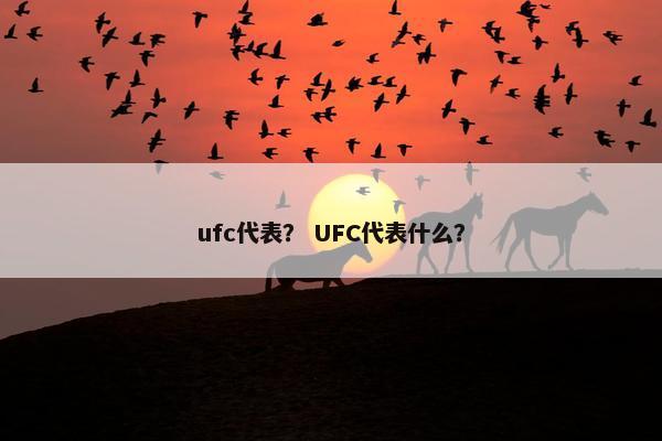 ufc代表？ UFC代表什么？