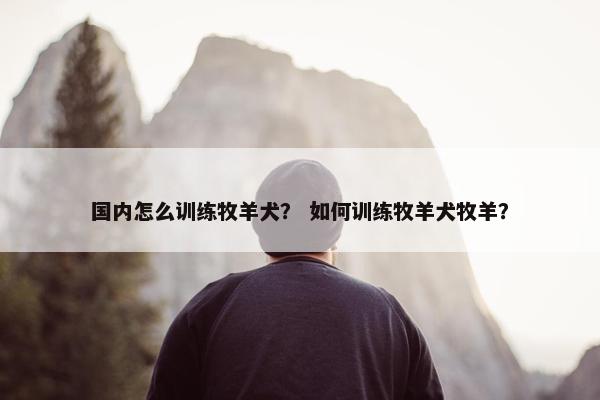 国内怎么训练牧羊犬？ 如何训练牧羊犬牧羊？