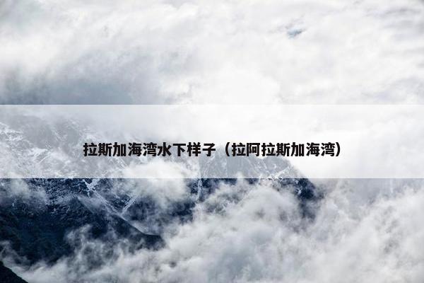 拉斯加海湾水下样子（拉阿拉斯加海湾）