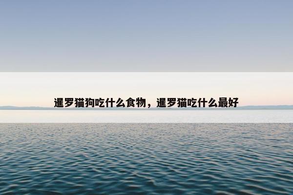 暹罗猫狗吃什么食物，暹罗猫吃什么最好