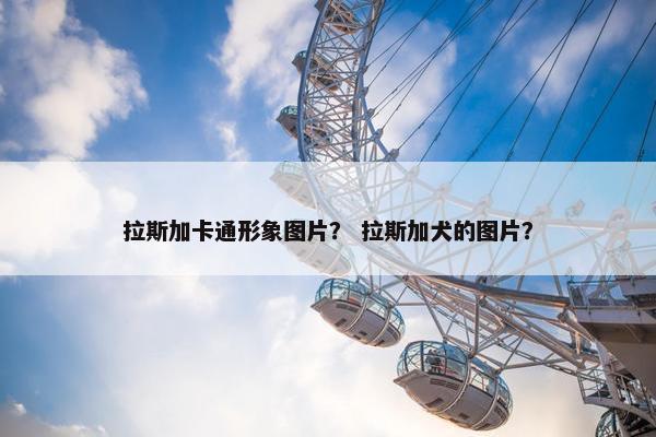 拉斯加卡通形象图片？ 拉斯加犬的图片？