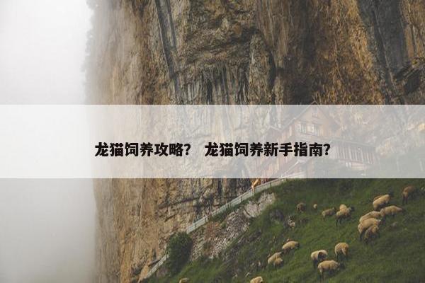 龙猫饲养攻略？ 龙猫饲养新手指南？