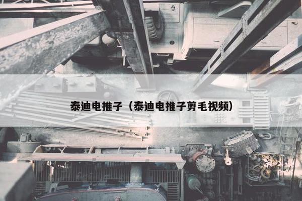 泰迪电推子（泰迪电推子剪毛视频）