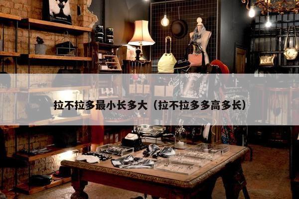 拉不拉多最小长多大（拉不拉多多高多长）