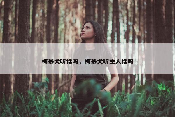 柯基犬听话吗，柯基犬听主人话吗